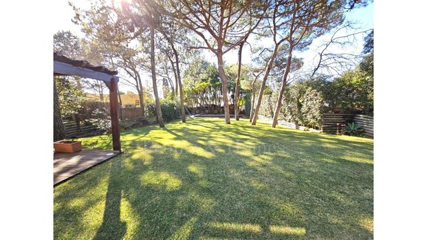 Cascais - Quinta da Marinha - Vila T4. Piscina e 1.200m2 de jardim - Photo 1