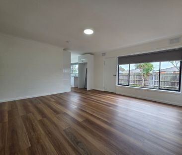 Sun Filled Unit - Photo 2