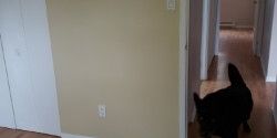 4 1/2 Sherbrooke - Photo 3