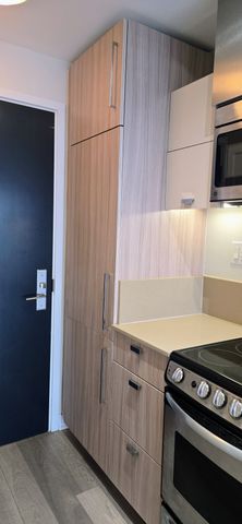 For Lease - 290 Adelaide Street Unit# 3609, Toronto, Ontario - Photo 5