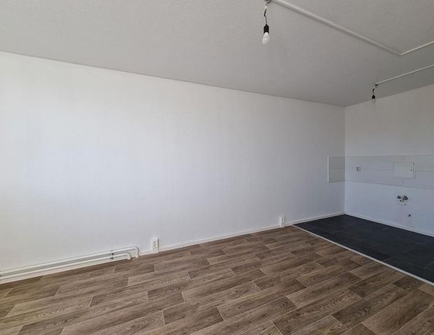 Einziehen und Wohlfühlen ! Gemütliche Singlewohnung in gepflegter Umgebung - Foto 1