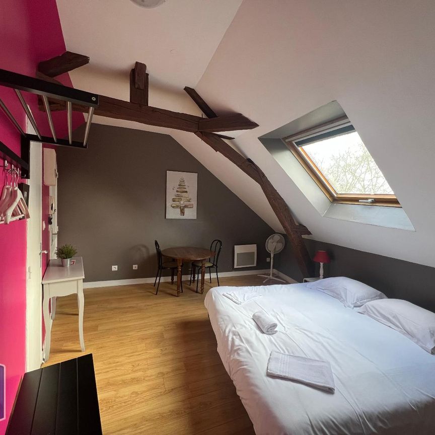 Location Appartement 1 pièce 17m² TOURS 37000 - Photo 1