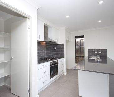 Entertainer's delight. - Photo 6