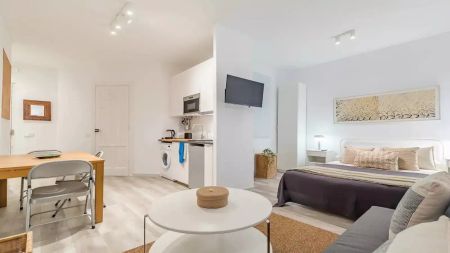 Studio for rent in Embajadores - Photo 4