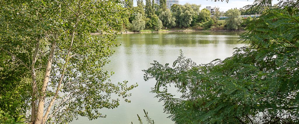 MARIS – Wohnen mit Weitblick und Stil (mietpreisgedämpft) - Photo 1