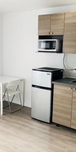 1 1/2 - Montréal (La Petite-Patrie) - 990 $/mois - Photo 3