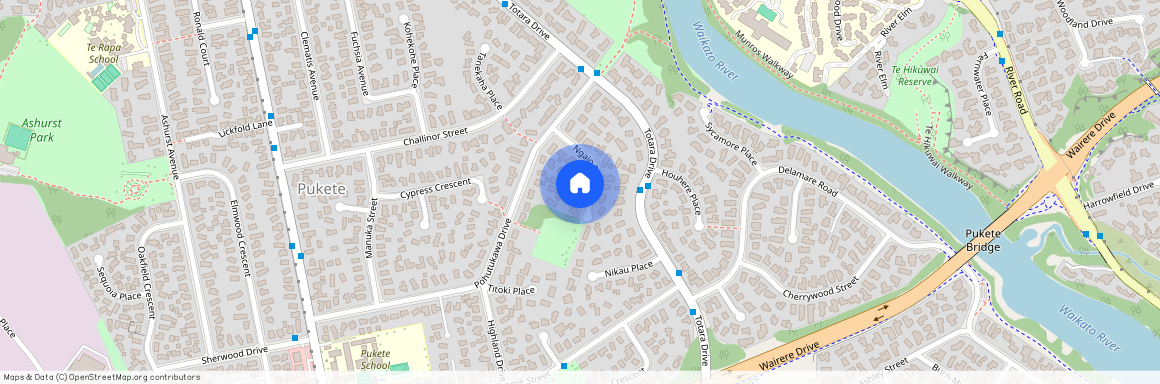 12 Ngaio Place, Pukete, Hamilton City