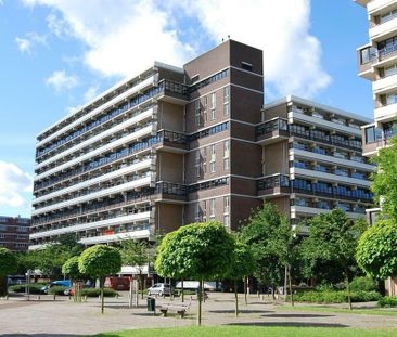 Prinses Beatrixlaan 441, Kleurenbuurt, 2284AP, Rijswijk (Zh) - Photo 1