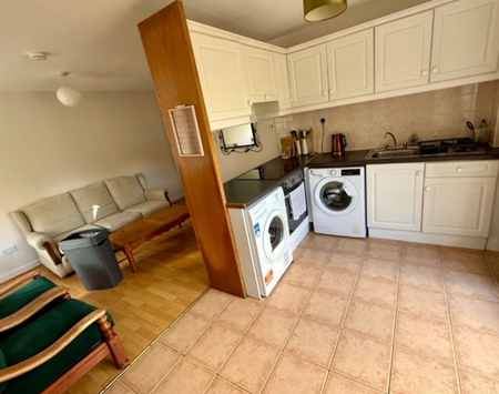 River Towers, Sunday's Well, Co. Cork - Photo 5