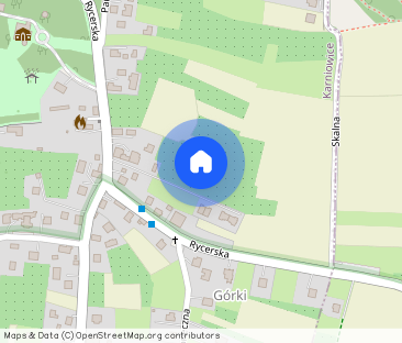 Wynajmę Dom wolnostojący 210m2 - Photo 1