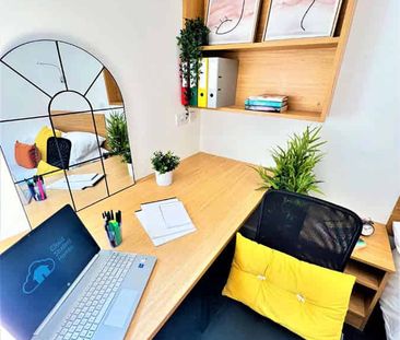 Deluxe Plus - Photo 4