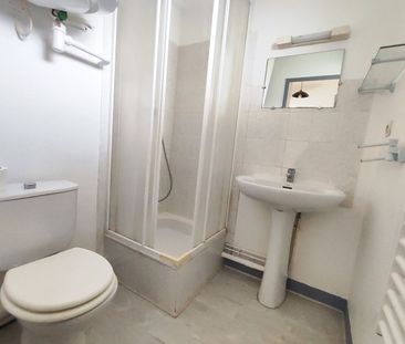 Location Appartement 1 pièce 19m² TOURS 37000 - Photo 1