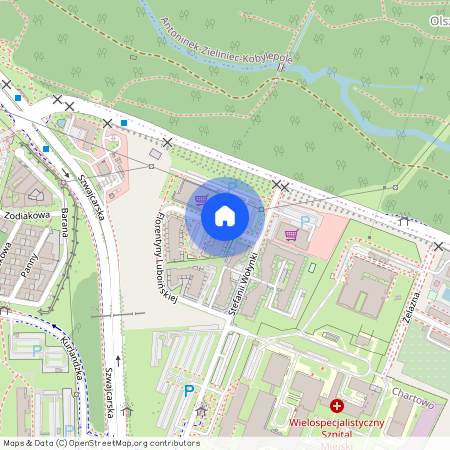 Florentyny Luboińskiej, Chartowo, Nowe Miasto, Poznań, wielkopolskie