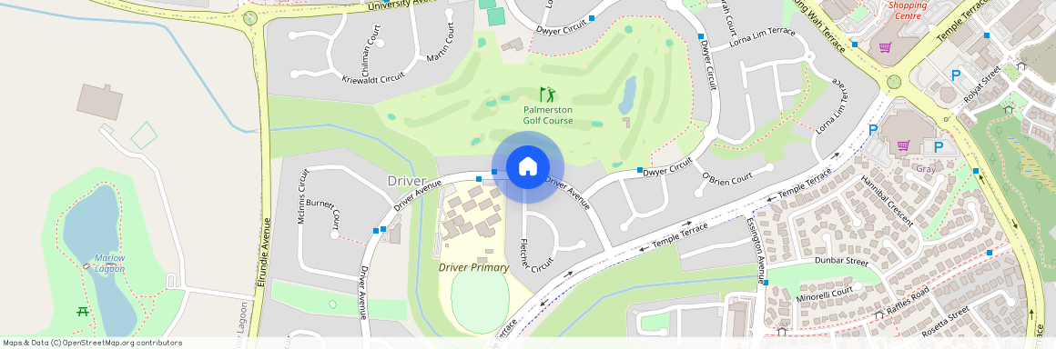 5 Hang Gong Court, Driver, NT 0830