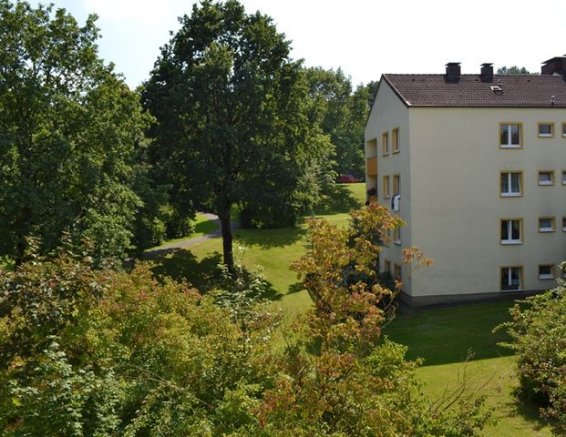 Demnächst frei! 2-Zimmer-Wohnung in Detmold Hiddeser Berg - Photo 1