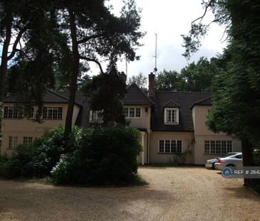 1 bedroom flat to rent - Photo 6