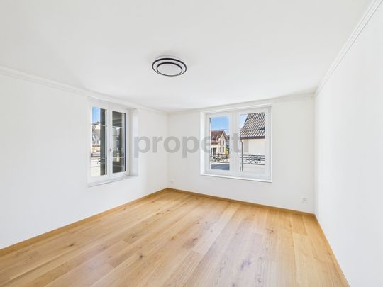 Historisches Apartment mit toller Seesicht in Männedorf - Photo 1