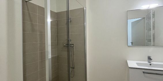 Location Appartement 1 pièce 29m² - Photo 3