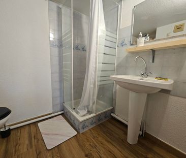 Location Appartement 1 pièce 10m² GRENOBLE 38000 - Photo 3