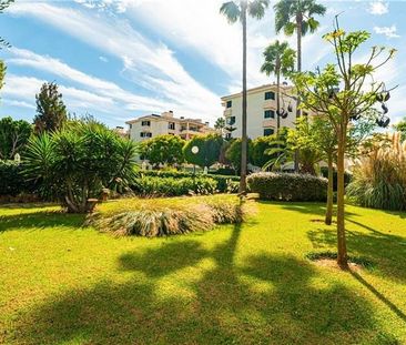 Palma de Mallorca, Balearic Islands 07610 - Photo 5