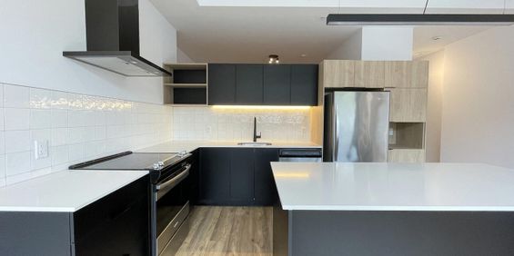1 + DEN - 3555 Rue Saint-Antoine Ouest, Westmount - Photo 3