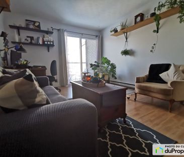 65, rue Lanctot, Gatineau (Hull) à louer - Photo 4