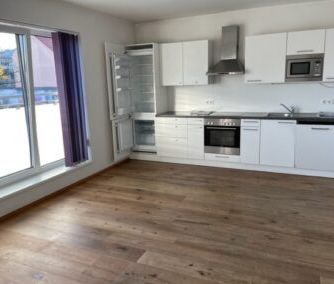 Moderne ausgestattete 3 Zimmer Wohnung mit neuwertiger Küche - Foto 1