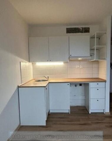 Pronájem bytu 1+kk 19 m2 - Fotografie 4