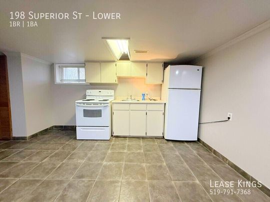 Basement Unit in Prime LaSalle Location! - Photo 1