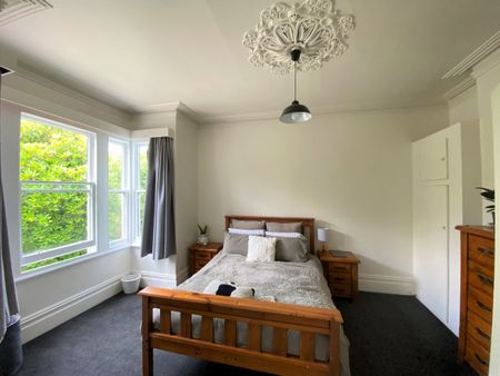 Māori Hill Magic - Photo 4