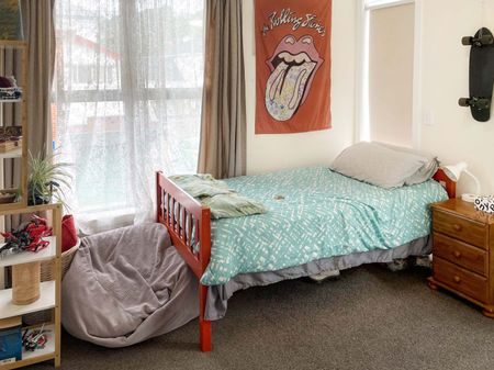 Apartment Living in Aro Valley - Photo 4