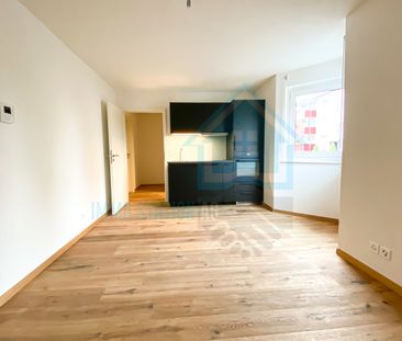 Modernes 1 Zimmerwohnung/Appartement/Studio in Gontenschwil AG - Foto 3