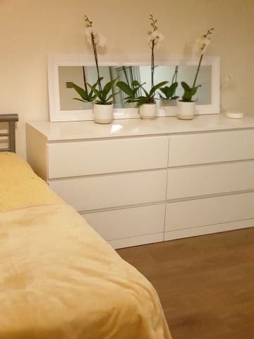 Studio Flat, Honeysuckle Drive, L9 - Photo 5