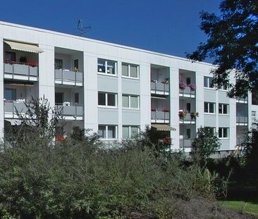 Grün, ruhig, modern – Ihr top modernisiertes Zuhause in Detmerode - Photo 4