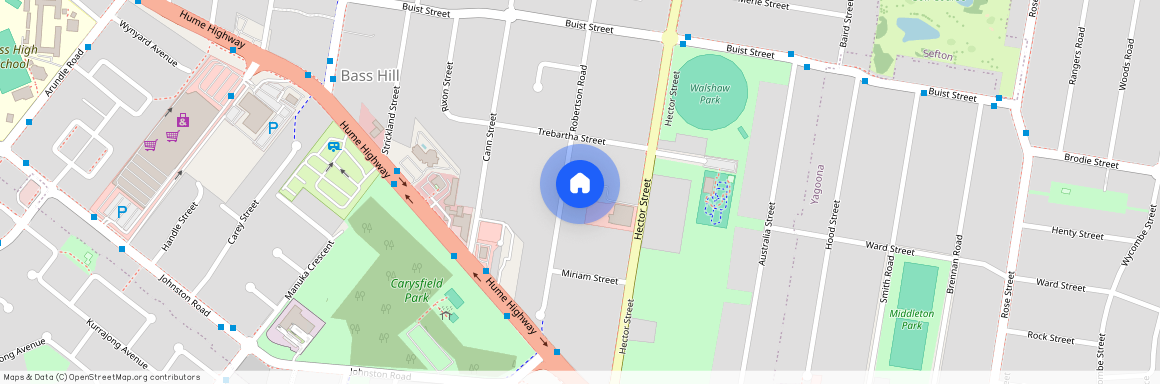 95 Robertson road, NSW 2197, Bass Hill