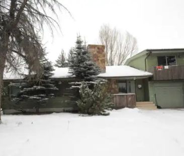 1 bed, furnished, balcony, utilities incl. close to U of C and LRT ... - Photo 1