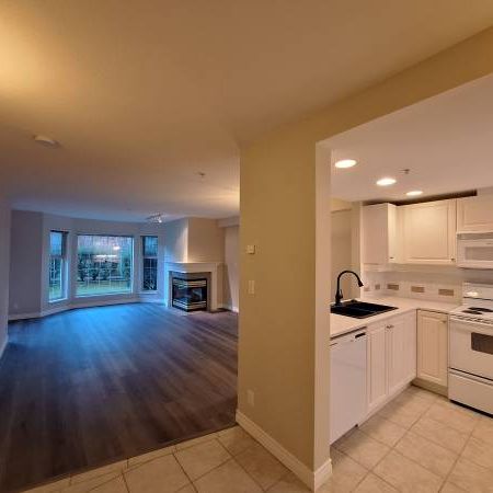 Spacious 1 Bed Suite with Private Terrace in the Cambie Neighborhood - Photo 1