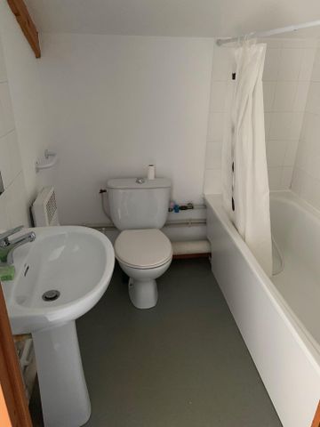 Location Appartement 1 pièce 13m² GRENOBLE 38000 - Photo 3
