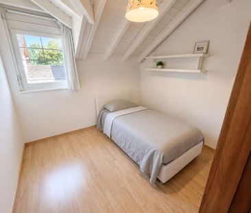 Carouge - Maison familiale avec jardin, sous-sol aménagé et garage ... - Foto 5