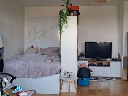 4040 Urfahr, Leonfeldnerstr.157: Reizende Kleinwohnung mit Balkon 1 Raum, 41,16m2 WNFL, ablösefreie Küche 3. Liftstock - Foto 5