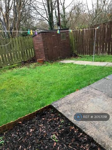 3 bedroom terraced house to rent - Photo 3