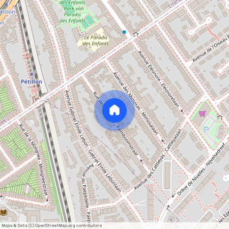 Rue des Palmiers - Palmboomstraat 49, 1150 Woluwe-Saint-Pierre - Sint-Pieters-Woluwe, Belgium