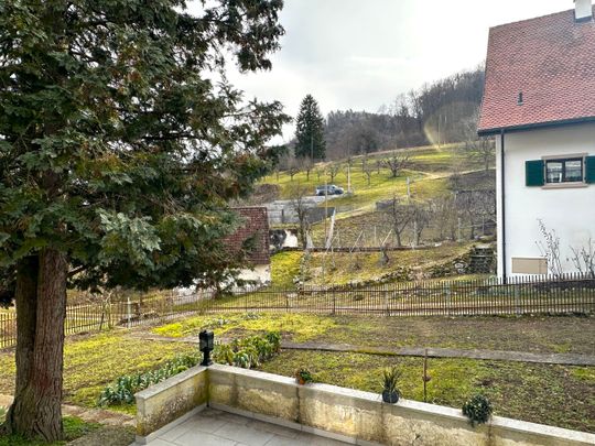 Great, cozy 3.5 room ground floor apartment - Photo 1