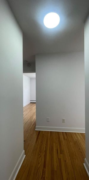 1 CH - 1 SDB - Montréal - $1,300 /mo - Photo 1