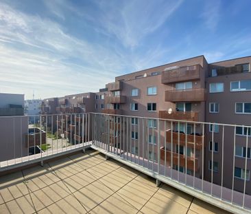 Attraktive 3-Zimmer Wohnung mit Terrasse in 1210 Wien zu mieten - Photo 3