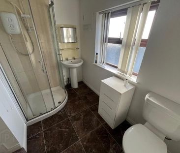 59 Moore Street, Aughnacloy, BT69 6AX - Photo 4