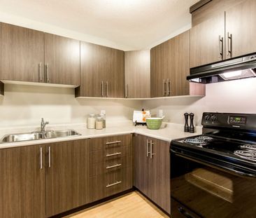 One Bedroom One Bath - Photo 1