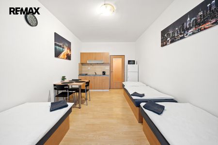 Pronájem bytu 1+kk a garsoniéry 26 m², K Dubině 690, Pardubice - Fotografie 5