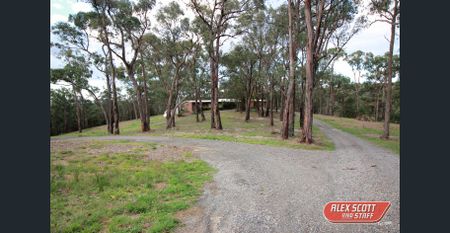 4 Bedroom Home & Self Contained Bungalow in Harkaway! - Photo 5