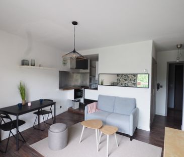 T1BIS MEUBLE - SAINT CYPRIEN - Photo 6